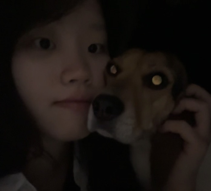 이은진 프로필