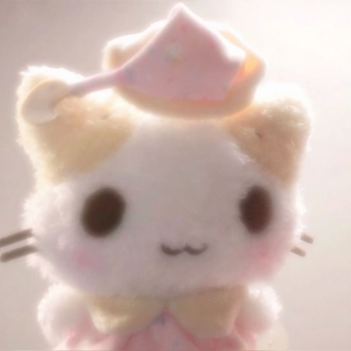 최윤지 프로필